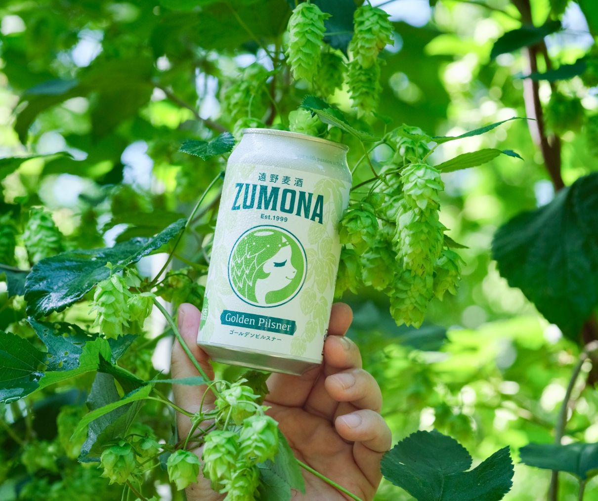 ホップ畑と醸造のイメージ